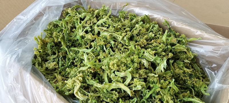 脱水蔬菜脆嫩爽口干花菜