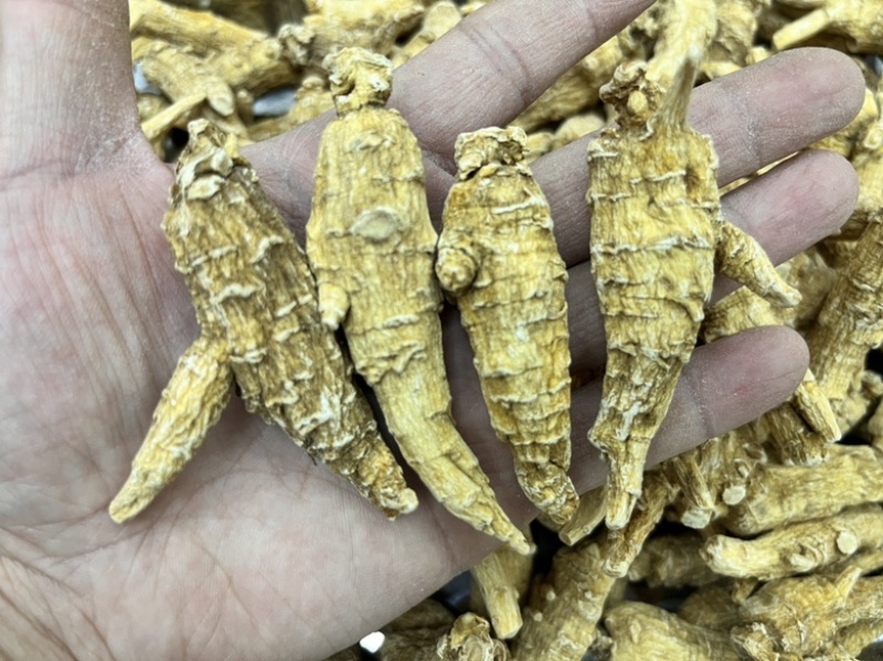 【批发】加拿大15克西洋参粒头原丛花旗参价格优势欢迎私聊
