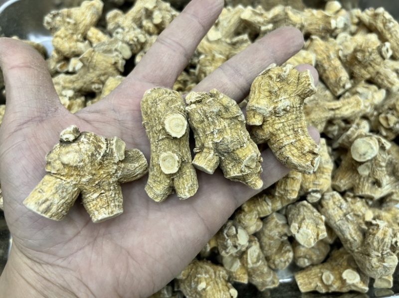 【批发】加拿大15克西洋参粒头原丛花旗参价格优势欢迎私聊