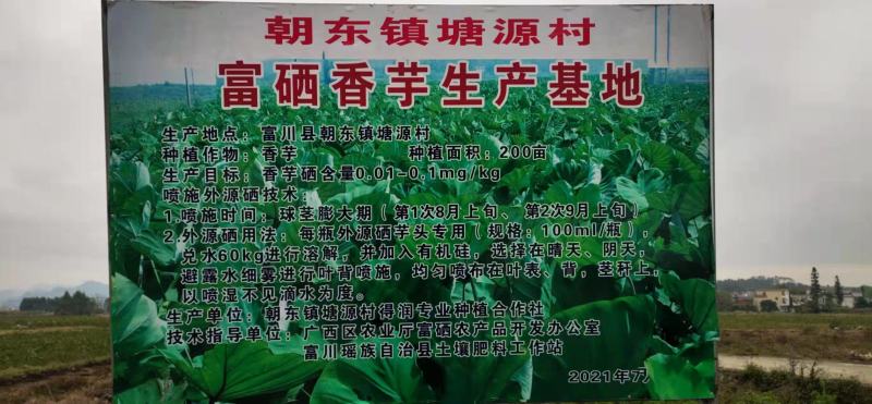 卖富硒香芋，
