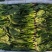 【菠菜推荐】辽宁菠菜新鲜菠菜可放心购买品质保证