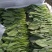 【菠菜推荐】辽宁菠菜新鲜菠菜可放心购买品质保证