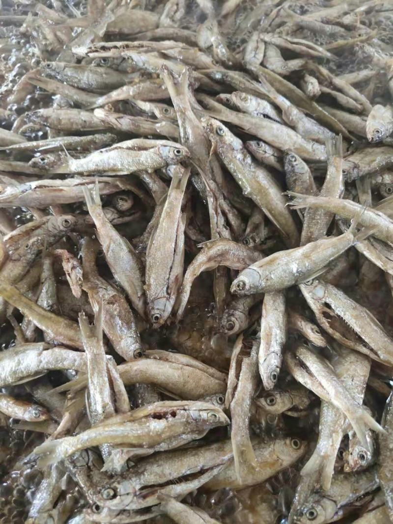 油炸白条鱼新鲜白条餐条油炸干货789公分开肚白条