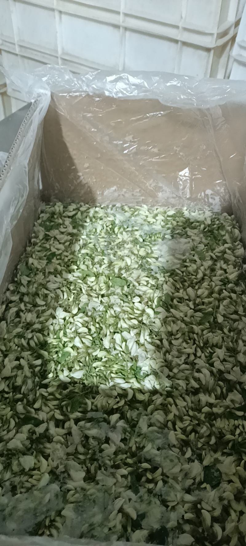 冷冻槐花，速冻干冻槐花