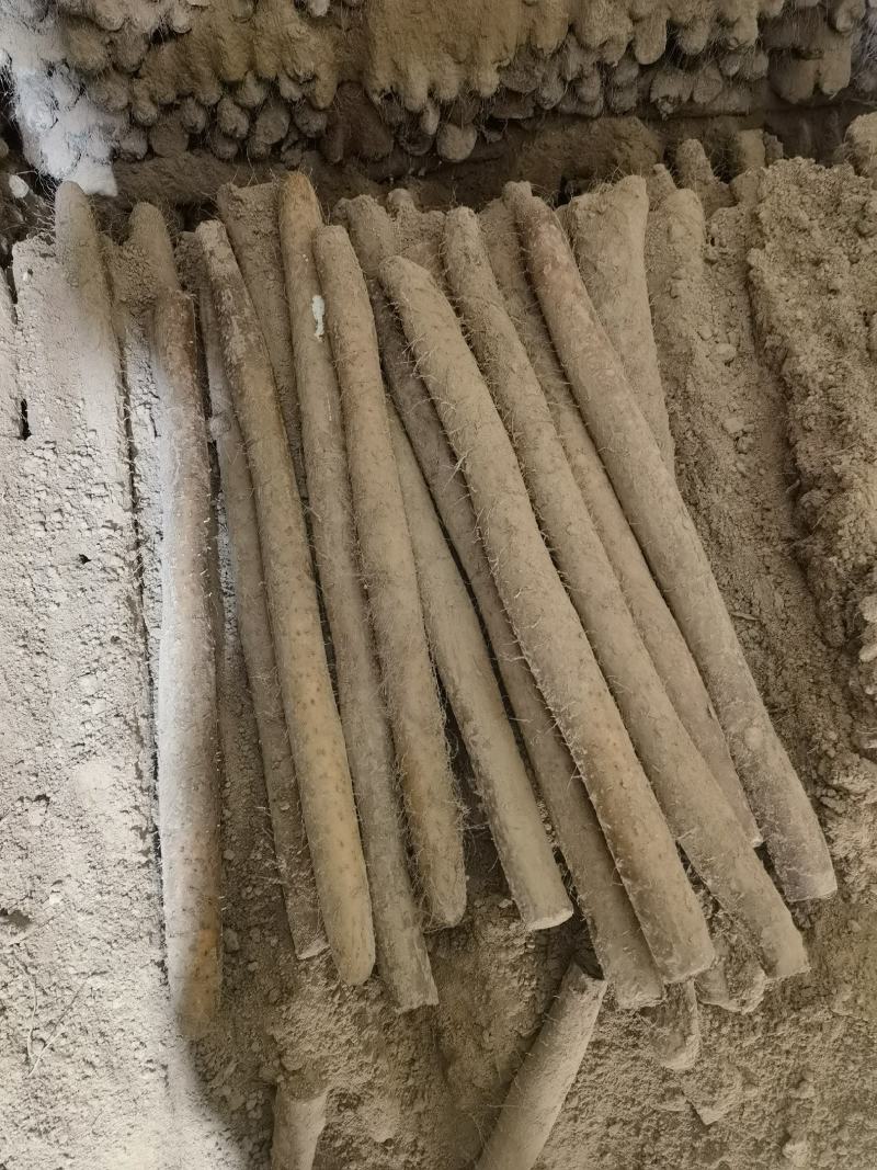 超市山药水洗装箱定制可做铁棍山药各包装一件代发全国代发