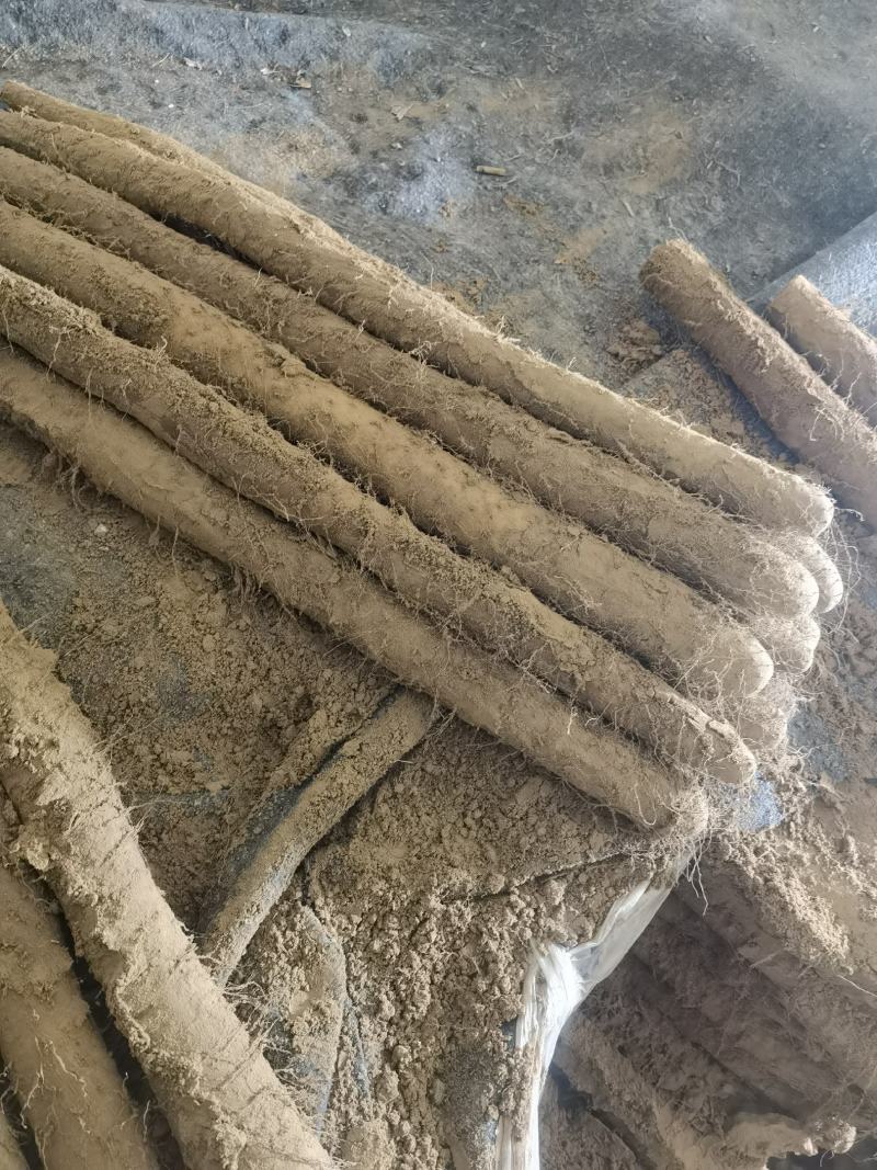 超市山药水洗装箱定制可做铁棍山药各包装一件代发全国代发