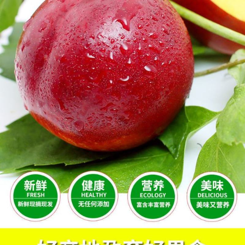 新鲜油桃中油19黄肉油桃3斤10斤装快递包邮坏果包赔