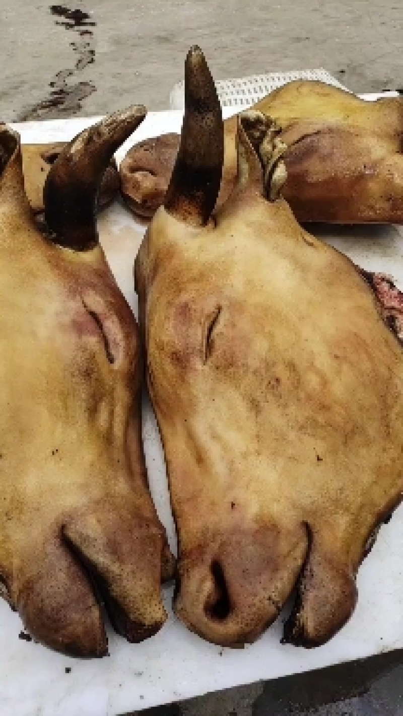 牛头牛头牛头牛头宴专用牛头