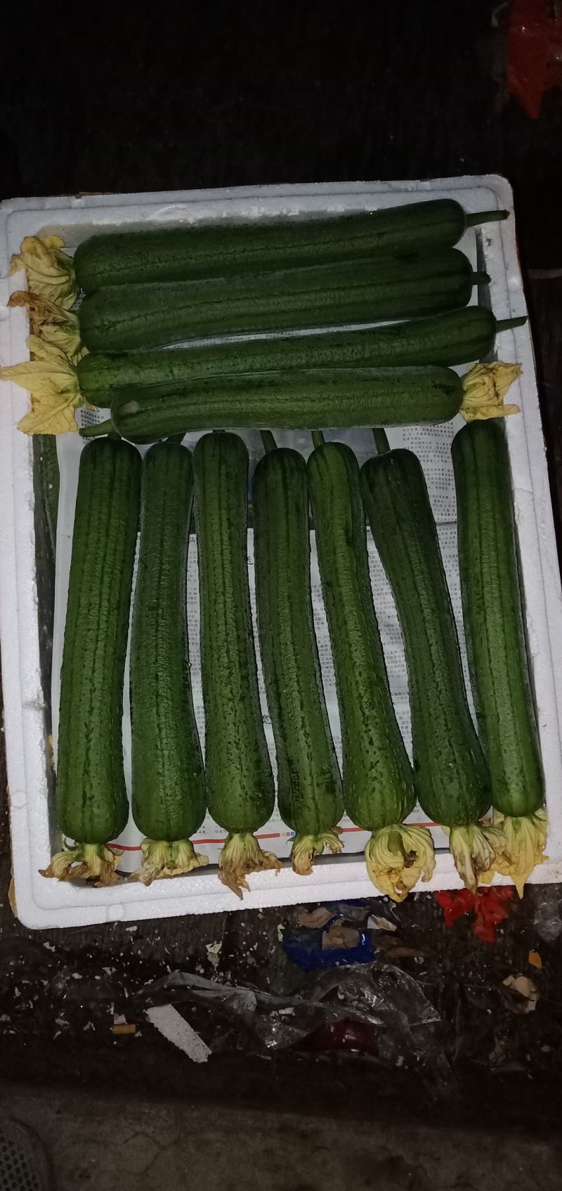 无棱肉丝瓜，百亩丝瓜基地直供，欢迎大量采购，货源稳定品质保。