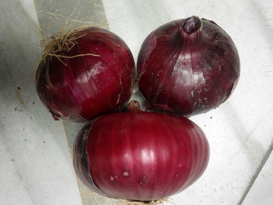 番茄鸡蛋洋葱成品图