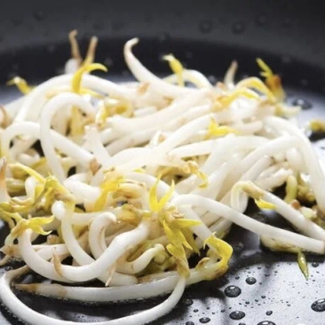 豆芽