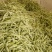 精品四季豆白不老豆角无丝四季豆架豆条直15～25
