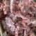 加肉牛脖骨肉含量高，价格便宜老板们别再当了，抓紧时间下单