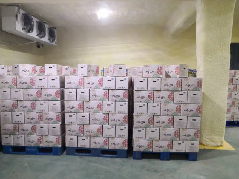 正宗辣白菜泡菜韩国口味可贴牌可定制代加工可出口可进超市