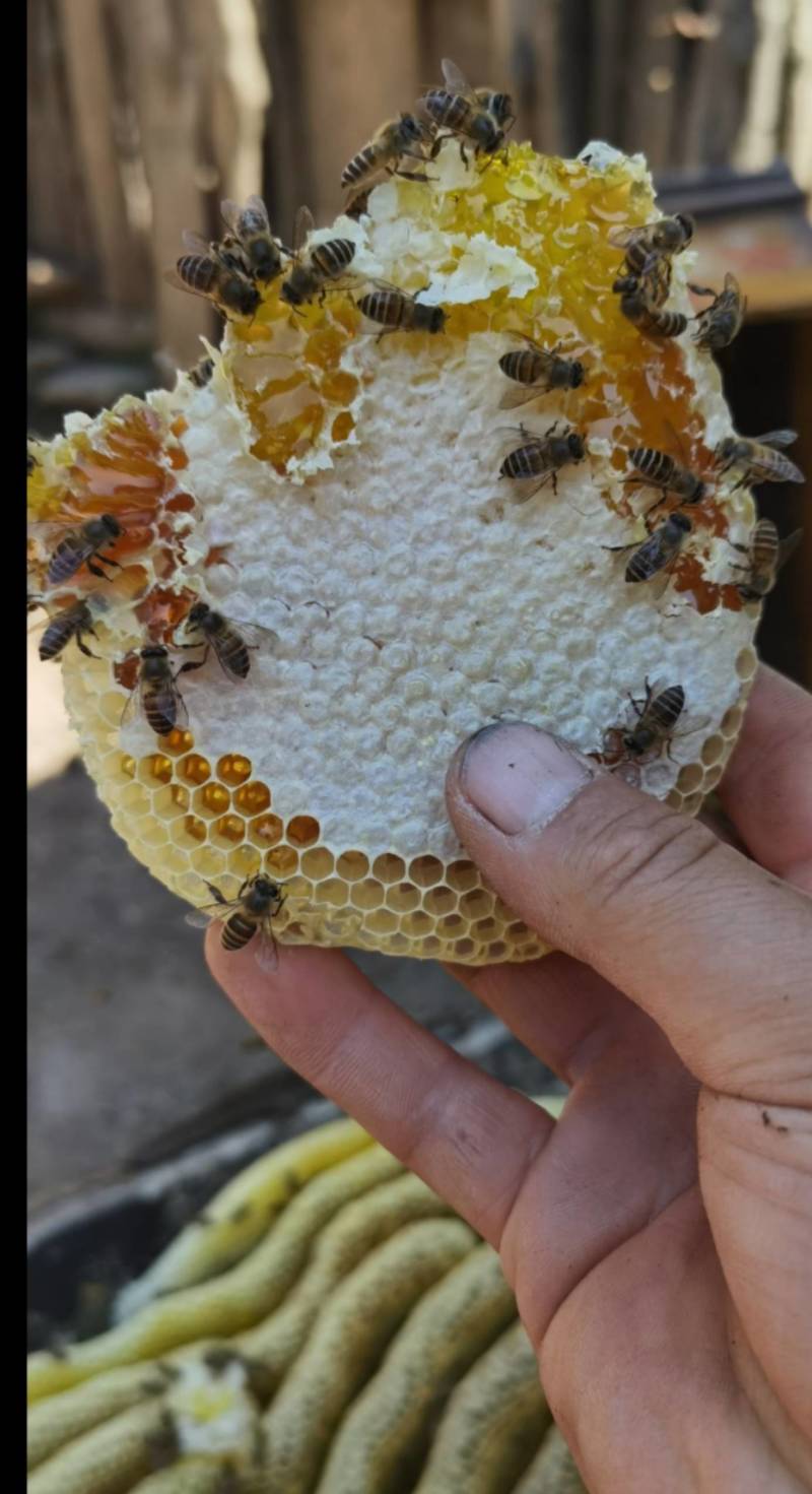 土蜂蜜自产自销假一赔十