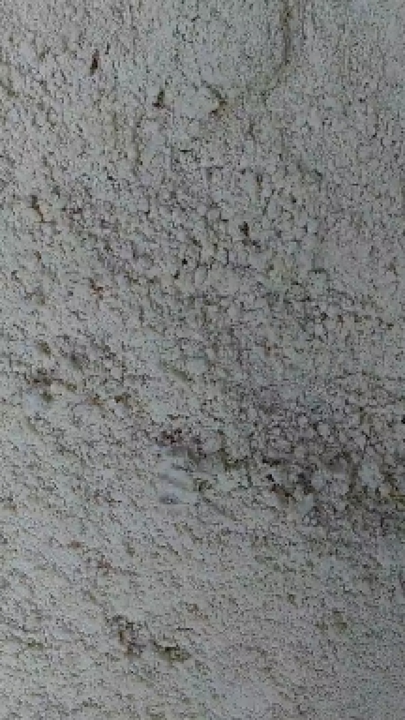 发酵豆腐渣，蛋白质，氨基酸含量高，营养丰富，厂家直销