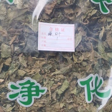 桑叶中药材霜桑叶冬桑叶干桑叶天然桑叶茶