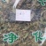 桑叶中药材霜桑叶冬桑叶干桑叶天然桑叶茶