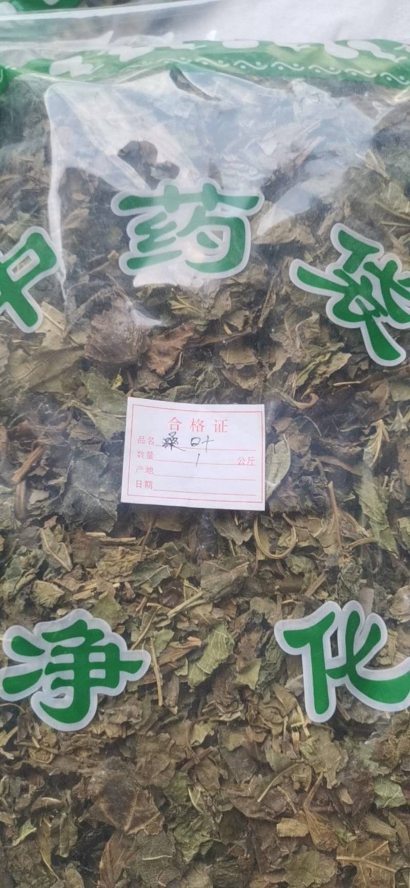 桑叶中药材霜桑叶冬桑叶干桑叶天然桑叶茶