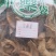 土荆皮土荆皮中药材土槿皮川土槿皮荆树皮金钱松树
