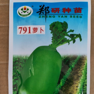 大量私聊【精】郑研经典791萝卜种子50g，表皮光滑