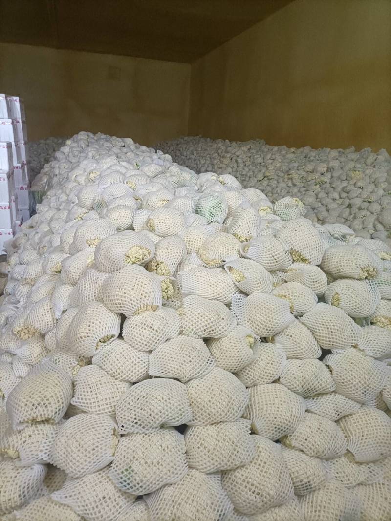 陕西省三原县松花上市！！