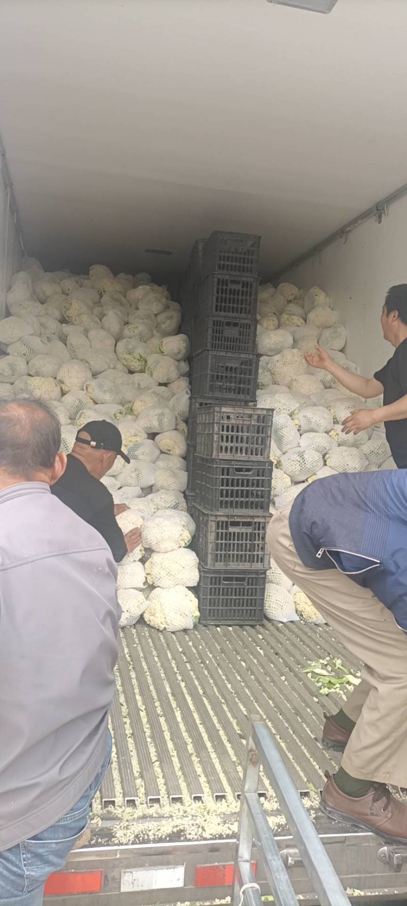 陕西省三原县松花上市！！