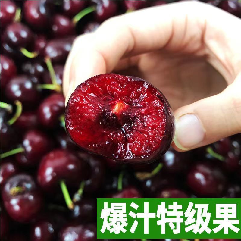 早大果樱桃，货源充足，多年牛商供应，电商商超市场货均有
