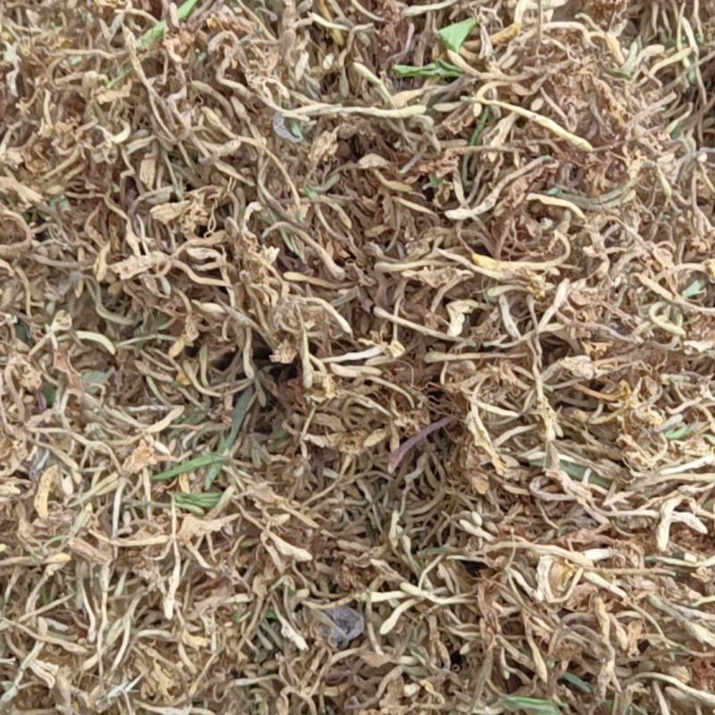 金银花.野生山银花.二花.产地直销诚信经营欢迎下单