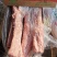 猪筒骨带肉不带肉精选优质产品冷链运输实拍图片支持样品
