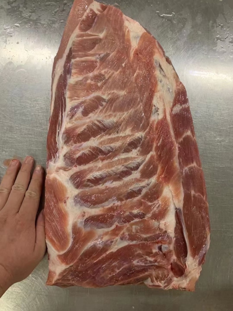 猪s骨多肉精选优质产品冷链运输实拍图片支持样品