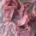 猪s骨多肉精选优质产品冷链运输实拍图片支持样品