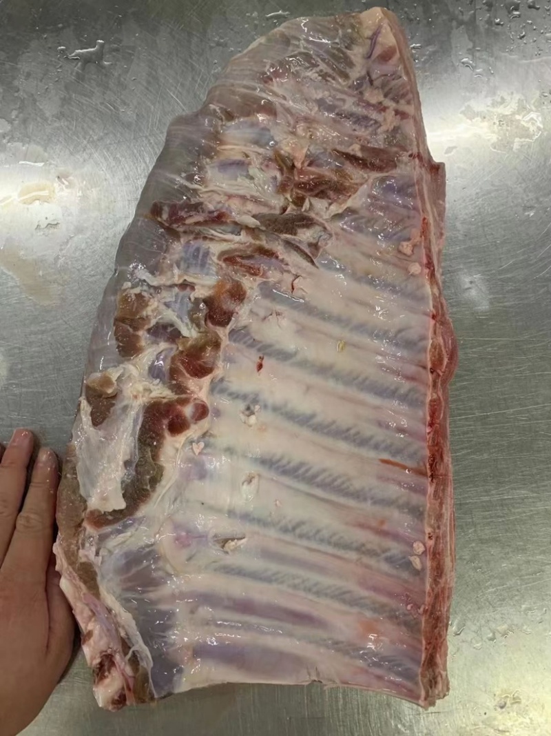 猪s骨多肉精选优质产品冷链运输实拍图片支持样品