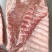 猪s骨多肉精选优质产品冷链运输实拍图片支持样品