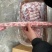 猪s骨多肉精选优质产品冷链运输实拍图片支持样品