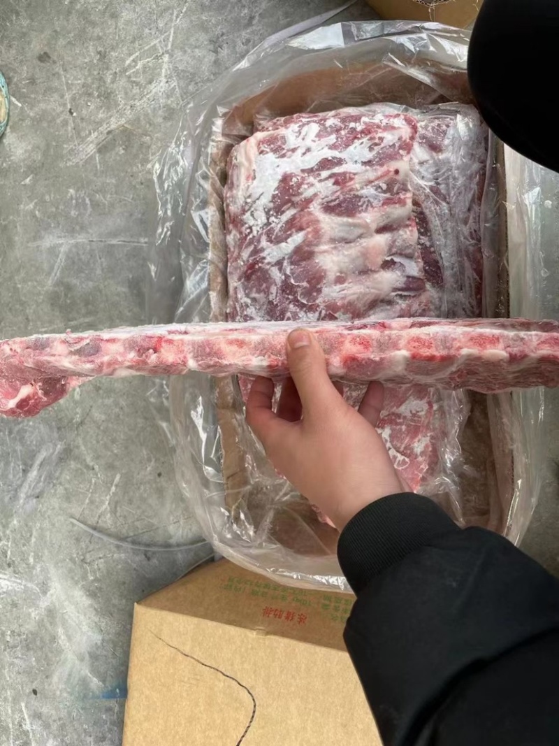 猪s骨多肉精选优质产品冷链运输实拍图片支持样品