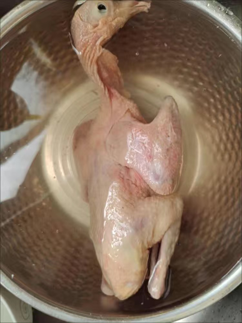 鸽子，乳鸽肉精品乳鸽厂家现货批发各种规格都有
