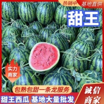 【砀山头茬甜王西瓜】万亩基地量大从优可视频看货