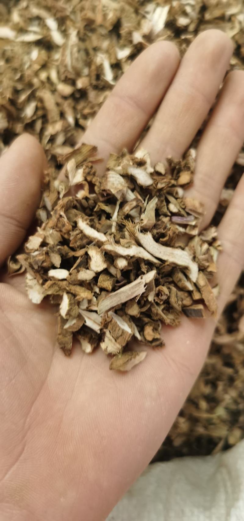 中药材根茎类，石菖蒲片无硫中药材千于种优质货