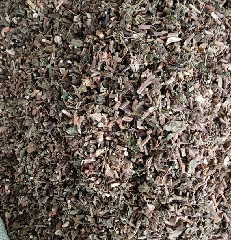 藿香统装500g产地广东振兴药材购销站量大从优
