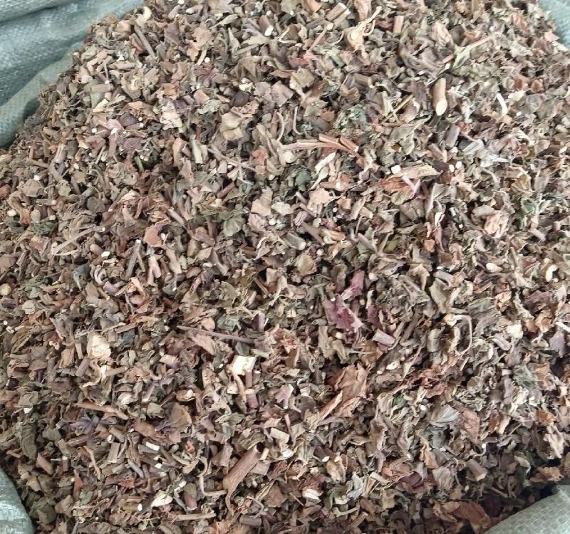 藿香统装500g产地广东振兴药材购销站量大从优