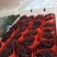 人生果，无花果，阳光玫瑰，蓝莓，金丝密小枣，芒果，茉莉香