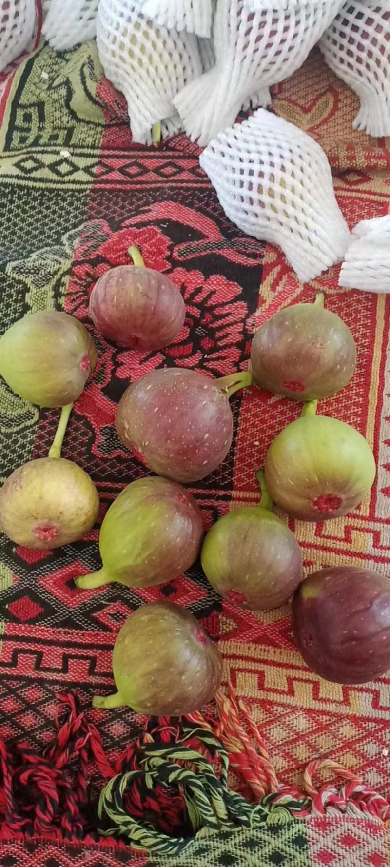 人生果，无花果，阳光玫瑰，蓝莓，金丝密小枣，芒果，茉莉香