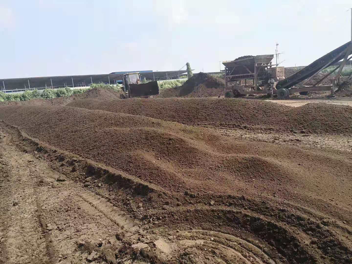波尔山羊养殖场的有机肥堆肥区