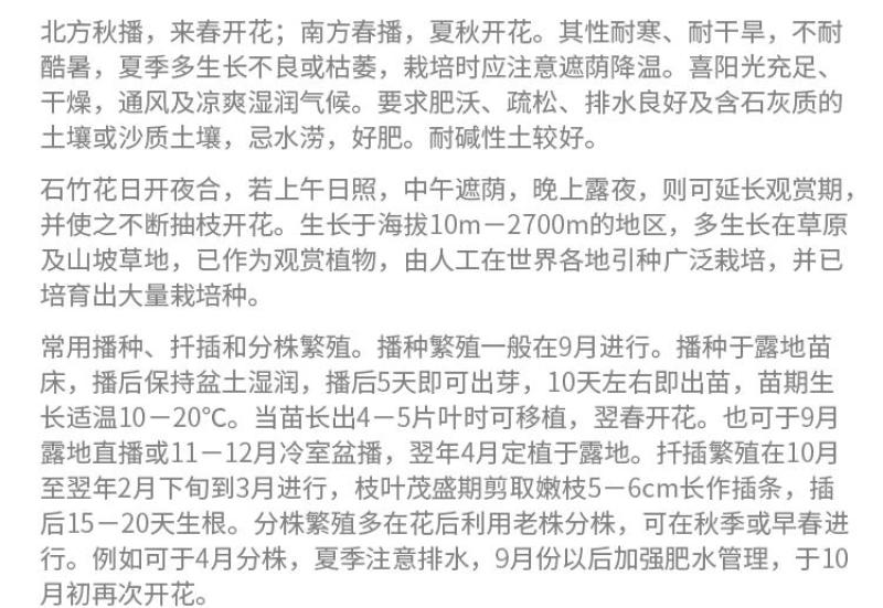 美国五彩石竹花种子常夏四季播种开花庭院花籽孑须苞石竹花种