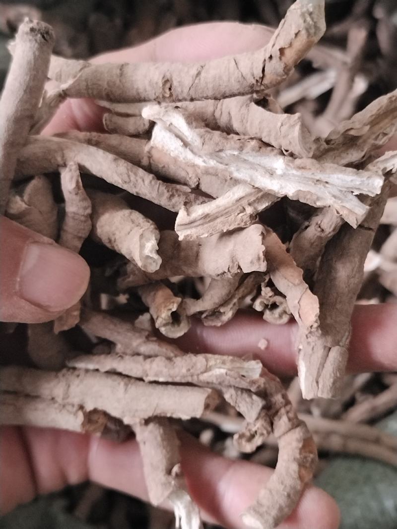 丹皮，牡丹皮，统货选货，陕南商洛道地药材，对接全国客商