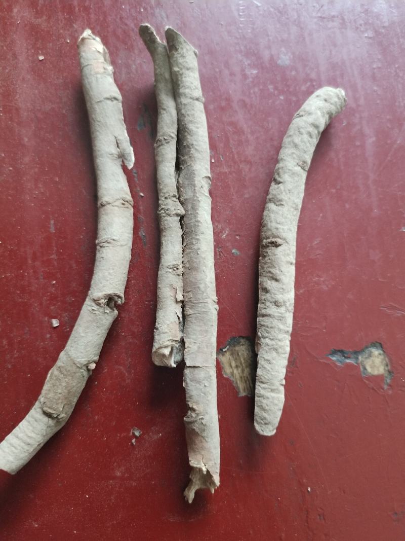 丹皮，牡丹皮，统货选货，陕南商洛道地药材，对接全国客商