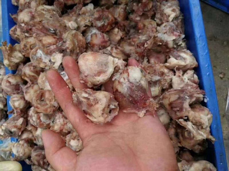 全熟羊眼，火锅、烧烤皆可，下锅分钟即可食！