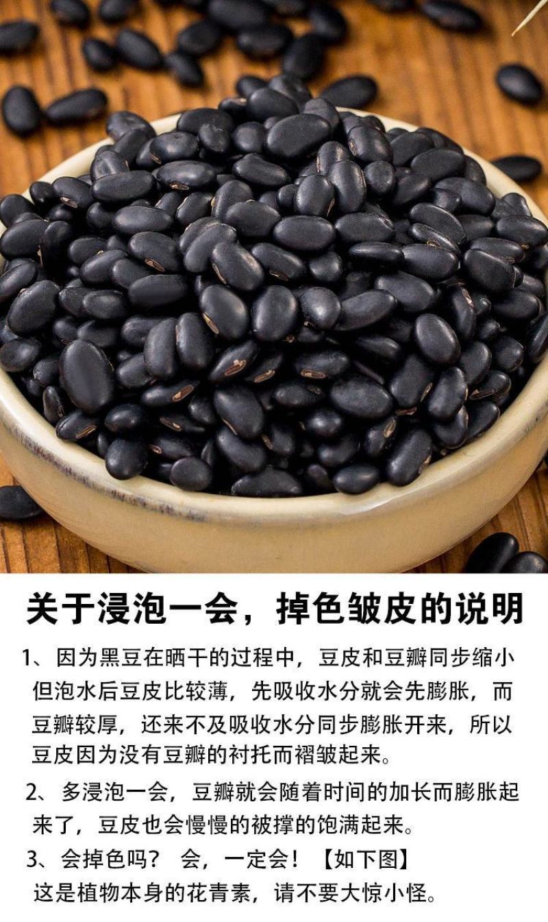 批发芽豆黑豆小扁黑/珍珠粒黑豆生豆芽豆苗做酱菜