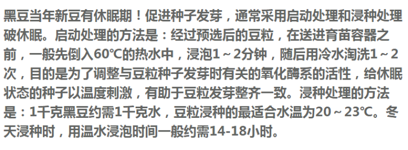 批发芽豆黑豆小扁黑/珍珠粒黑豆生豆芽豆苗做酱菜